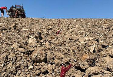 La plantation des premières vignes destinées à produire du vin 100 % Hauts-de-France a débuté le 4 mai.