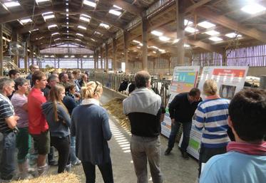 Les 370 participants ont découvert un élevage où il doit faire bon travailler.