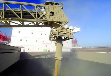 Au 1er octobre, près de 2,5 Mt de blé tendre étaient déjà sortis des ports français.
