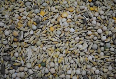 Le comptage est la méthode la plus simple et la moins chère.