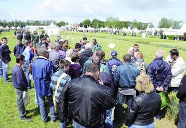 Les Culturales® sont toujours l’occasion d’avoir de vrai échanges avec des experts sur les stands et les parcelles.