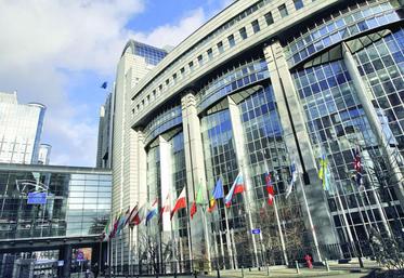 Les eurodéputés soulignent que les accords avec les pays tiers doivent avant tout être équitables.