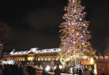 Les sapins de Noël naturels ont la cote (ici en Alsace).