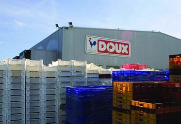 La décision du tribunal de commerce de Quimper jette le trouble dans la filière. D’un côté, elle sauve à court terme une partie des producteurs, même si bon nombre de voix s’interrogent sur les intentions à moyen terme de la banque Barclays ; de l’autre, elle semble condamner la branche d’activité consacrée au frais. Plus de 1800 salariés est  de 200 producteurs en dépendent.