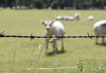 Les gendarmes recommandent d'installer, quand cela est possible, des serrures et des barrières, d'apposer des panneaux «propriété privée» ou «interdiction de filmer».