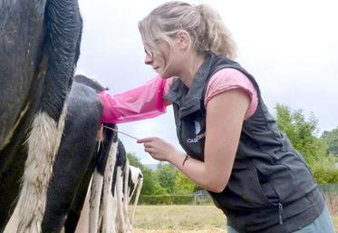 Gènes Diffusion a choisi de devenir OS en Prim’holstein et en Charolais dès juin 2019.