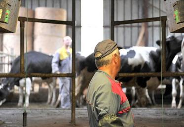 Le travail détaché représenterait 21,9 % du total de l’emploi agricole.