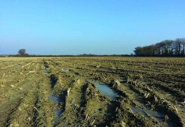 30 à 40% des surfaces prévues en blé n’étaient pas encore semées dans les Bas champs.