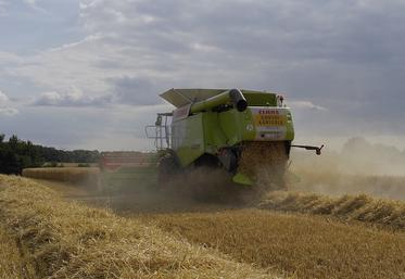 Fin de semaine dernière, du colza et quelques rares parcelles de blé ont pu être récoltées sous un ciel couvert. 