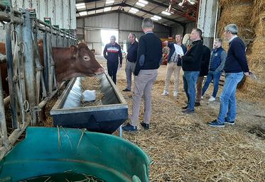 Au sein de la section Nord-Picardie, les chiffres sont plutôt bons puisque cette dernière compte 29 adhérents sur la campagne écoulée, soit deux de plus. En nombre de vaches cotisantes, la section est toutefois en recul (757), comme on le constate au sein des sections qui concentrent le plus grand effectif. 