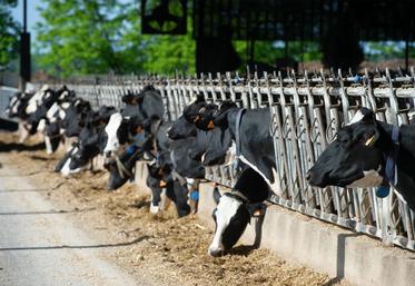 Au sein des catégories de systèmes, on observe des différences significatives de performances. 