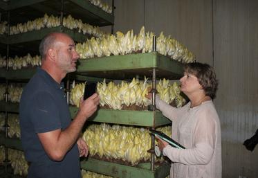 Sur les 300 producteurs de l'association, 95 % sont installés dans les Hauts-de-France. Neuf d'entre eux ont arrêté ces derniers mois, six récoltent pour la dernière année, décompte Philippe Bréhon qui relaie non pas «leur faillite mais leur ras-le-bol».