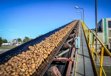 Haussimont fécule pommes de terre Tereos