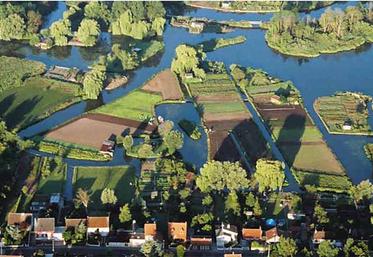 Le ou les preneur(s) des parcelles proposées par Amiens Métropole devront  contribuer à enrichir l’offre sur le territoire amiénois en produits maraîchers. 