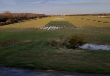 L’inflation des prix du foncier n’épargne pas le secteur des Bas-champs où s’exerce une concurrence entre différents usages. 