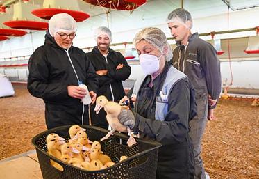 Le ministre de l’Agriculture, Marc Fesneau a lancé dans les Landes, la campagne  de vaccination des canards le 2 octobre. 