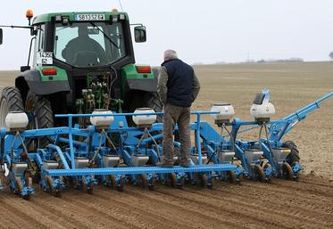 À l’exception de l’ouest du département samarien où il restait quelques parcelles  à semer, ailleurs les semis ont été réalisés. 