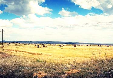 Ce schéma permet essentiellement de réguler l’accès au foncier. Il a pour principal objectif de favoriser l’installation d’agriculteurs, y compris ceux engagés dans une démarche d’installation progressive. 