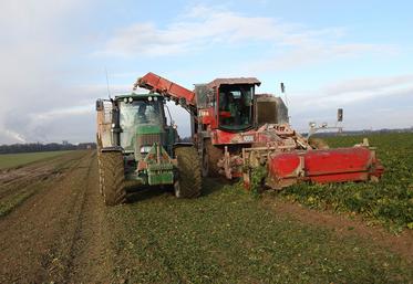 En ce début d’une nouvelle campagne, Tereos revient également sur le prix auquel le groupe paiera les betteraves récoltées et transformées en 2022-2023. 