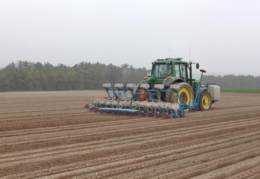Fin de semaine dernière, 50 % des semis étaient réalisés à l’échelle du territoire couvert par la délégation Somme-Oise  de l’ITB, avec des avancées différentes selon les secteurs. 