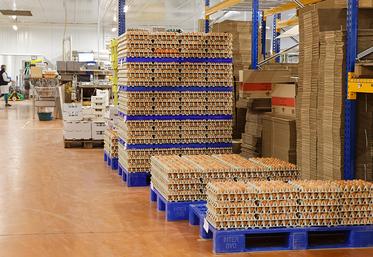 Des centaines de millions d’œufs sont réceptionnés et conditionnés chez Sodine, à Sommepy-Tahure.