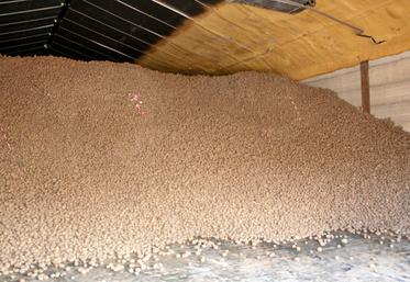 Il est primordial de poursuivre le nettoyage des bâtiments pour éliminer toutes les traces de CIPC encore présentes.