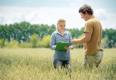 Être agriculteur ou associé exploitant et exercer une activité de fonctionnaire est tout à fait possible à condition d’en respecter les règles.