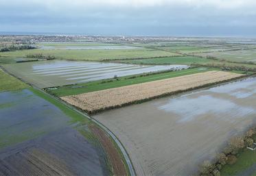 Parcelles inondées en Picardie Maritime, commune de Routhiauville.