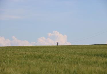 Différents dispositifs de portage de foncier visent à éviter ou à retarder l’acquisition de foncier, et permettre à des agriculteurs de rester plus longtemps locataires. 