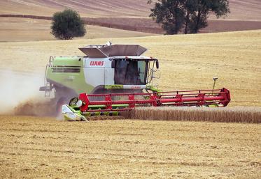 La France va achever sa campagne de commercialisation des céréales avec des stocks très tendus, sans véritablement profiter de l’embellie.