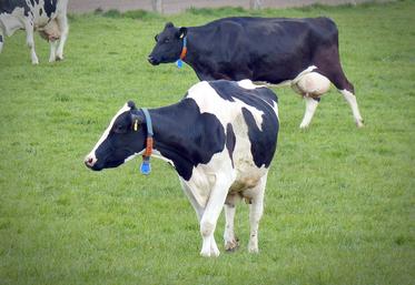 Les stocks privés de poudre de lait écrémé ont diminué depuis le milieu de l’année 2020 et sont désormais  à un «niveau bas» de 150 000 tonnes.