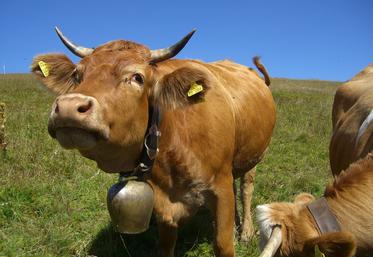 Patrimoine sensoriel