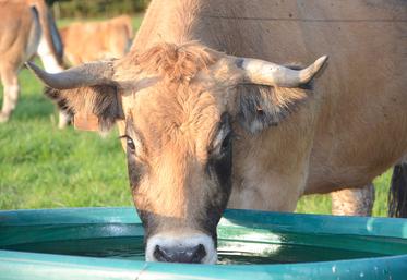 Le nouveau Sdage définira, pour les six ans à venir (2022-2027), les actions «pour une gestion équilibrée et durable de la ressource en eau». Les agriculteurs sont directement concernés. 