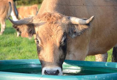 L’accès à une eau de qualité parait tellement évident que peu d’éleveurs s’en soucient. 