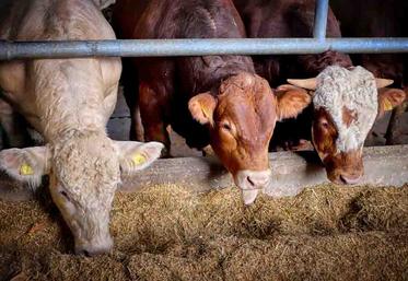 L’objectif était d’accroître les volumes d’importation de produits sensibles,  comme la viande rouge (bovins et ovins). 