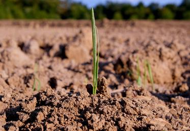 L’assolement est à réfléchir selon les règles de la nouvelle Pac.