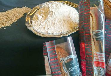 Pour aller plus loin dans la réduction de phytos, il faut une rémunération, estiment les professionnels du réseau. Les baguettes HVE sont un exemple. 