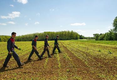Plus de 190 000 élèves, étudiants et apprentis sont scolarisés dans un établissement de l’enseignement agricole technique. 