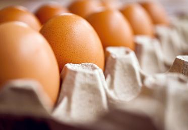 L’œuf coquille est un produit plébiscité avec 96,5 % des ménages acheteurs.
