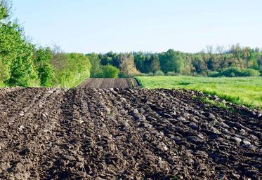 En Hauts-de-France, 2,58 % de dégradation des surfaces en prairies permanentes par rapport au ratio de référence 2012 sont constatés. De fait, tout retournement devra faire l’objet d’une autorisation de la DDTM. 