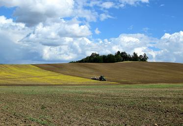 «Le statut du fermage constitue l’un des piliers d’une transmission réussie», assure Patrice Chaillou, secrétaire de la SNFM.
