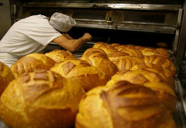 artisanat apprentissage