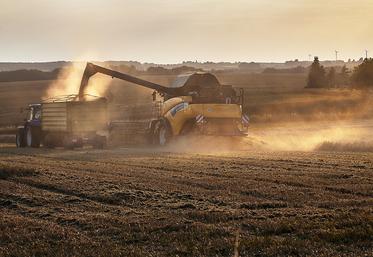 L’Ukraine pourrait exporter 54 Mt de céréales en 2023-2024. 