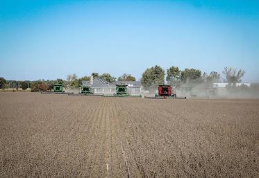 À Chicago, les cours du soja étaient, la semaine dernière, à un niveau qui n’a jamais encore été atteint depuis 2014. 