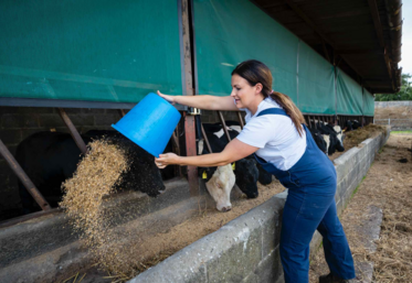 alimentation animale