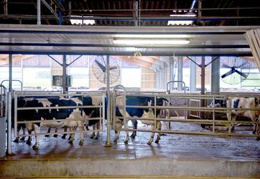 Pour une transition au robot réussie, mieux vaut réaliser un audit complet de l’élevage quelques semaines avant la mise en service.