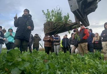 Grâce aux couverts, qui doivent apporter une meilleure structure du sol, David Boucher espère pouvoir faire l’impasse  sur le labour avant la plantation des pommes de terre au printemps. 