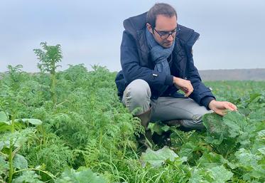 Hugo Puech, directeur de l’exploitation du Paraclet : «le parcours consistera  en des panneaux pédagogiques, qui expliqueront nos pratiques et leurs bénéfices sur la biodiversité locale.»