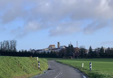 Les quelques 1,7 Mt de betteraves râpées ont permis de produire 235 000 t de sucre, ainsi que près de 20 000 t de pellets. 