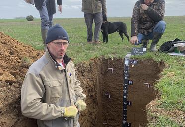 Le profil de sol permet de poser un diagnostic qualitatif de la parcelle. 